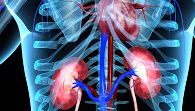 El tratamiento combinado duplica la supervivencia de los pacientes con cáncer de riñón avanzado