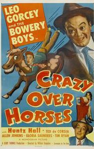 Crazy Over Horses