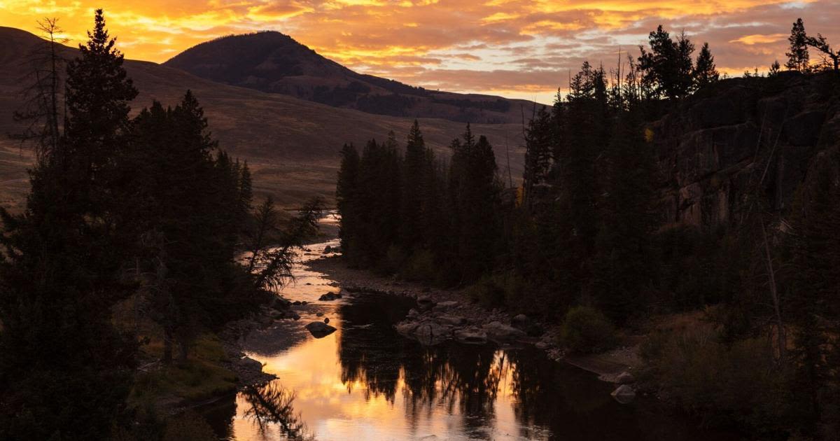 Yellowstone reopens some rivers and streams to fishers, but not all