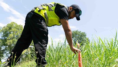 Why a growing number of Topekans are being cited for grass growing too high