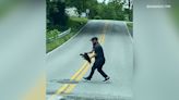WATCH: Fiesty snapping turtle helped across road, despite its resistance