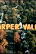 Harper Valley P.T.A.