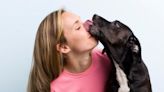 Estas son las enfermedades que transmiten los perros con la saliva, según veterinaria