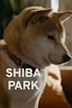 Shiba Park