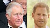 King Charles Will Be Too Busy to See Son Prince Harry During His Trip to the U.K.