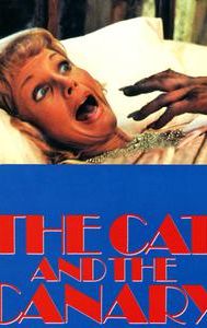 The Cat and the Canary (1978 film)