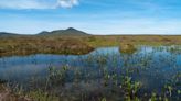 Remote peatland granted world heritage status