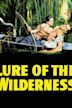 Lure of the Wilderness