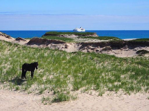 B.C. pair found dead in inflatable boat washed up on Nova Scotia's Sable Island