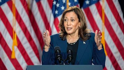 Iowa and Illinois Quad-Cities area DNC delegates voice support for Harris