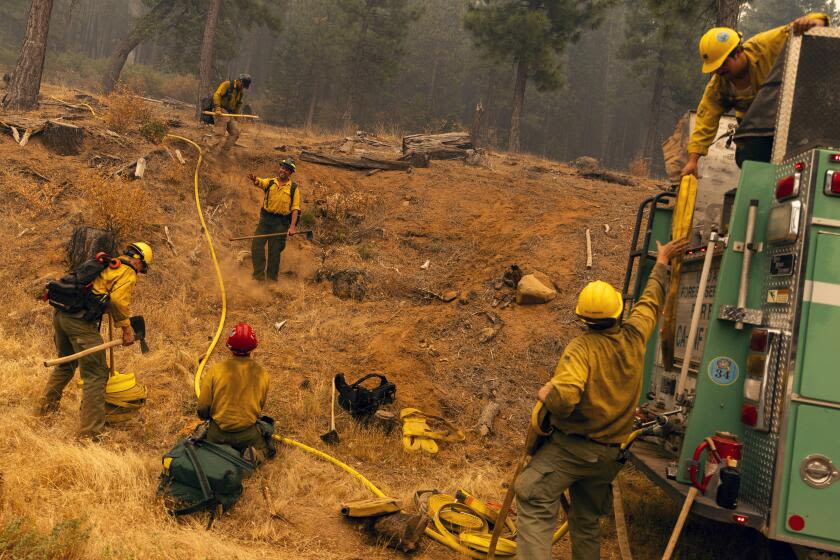 Crews make progress as massive Park fire swells beyond 350,000 acres