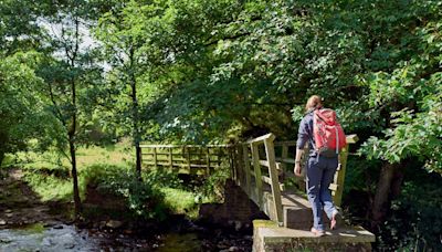 5 of the best weekend walks to try in County Durham - with stunning scenery too