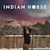 Indian Horse