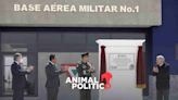 Caso Zaldívar: militares presionaron a jueces para “resolver de manera prioritaria” temas relevantes para AMLO