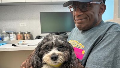 Al Roker Misses 'Today' Show as His Dog Undergoes Emergency Surgery