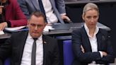 Rund drei Viertel der Deutschen sehen AfD als Gefahr für die Demokratie