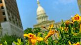Michigan Senate kicks out 9 budget bills, as Republicans fail to win immigration and DEI amendments