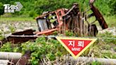 金正恩視南韓頭號敵國 北韓「非軍事區埋地雷、拆連通道路路燈」