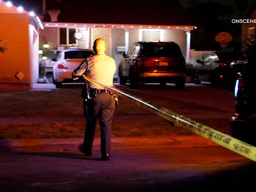 Boy, 7, critical after being stabbed by brother in Los Angeles County: LASD