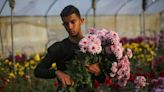 Valentine's Day frowned upon by many, but not all, in Gaza Strip