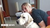 Guide Dogs charity: Blind woman doing sponsored skydive