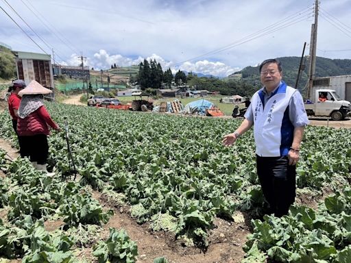 南投仁愛山區降冰雹砸爛蔬菜 縣府爭取農業救助