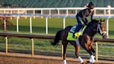 BOZICH | Why your favorite horse can win the Kentucky Derby — and why he won't