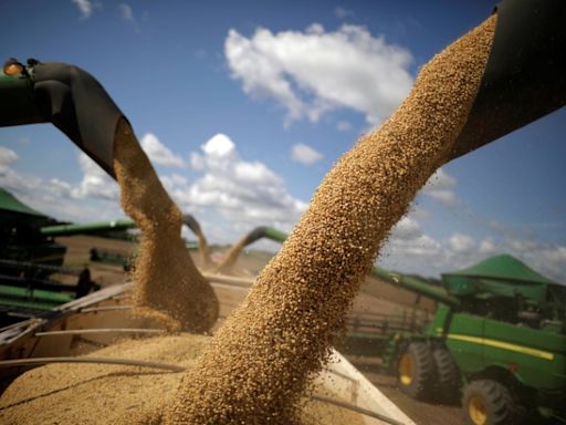 Colheita de soja 2023/24 atinge 98,8% da área no País, aponta Conab Por Estadão Conteúdo