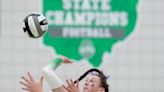 All-Central District high school volleyball: Who are the top players in central Ohio?