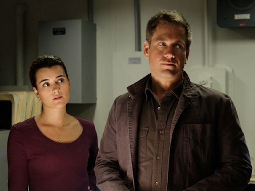 The Tony/Ziva NCIS Spinoff: Cote de Pablo and Michael Weatherly Reveal Title