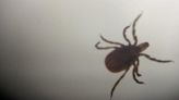 It could be a bad summer for ticks. Here’s how to protect yourself from Lyme disease