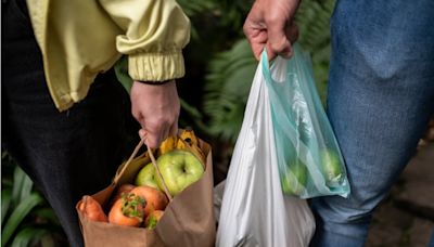 Entra en vigor prohibición de bolsas plásticas y otros plásticos de un solo uso en Colombia