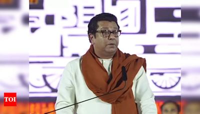 MNS to go solo in Maharashtra assembly elections, Raj Thackeray says 'will fight 200 - 250 seats' | Mumbai News - Times of India