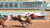 Harken wins narrowly in Mountain Top Futurity