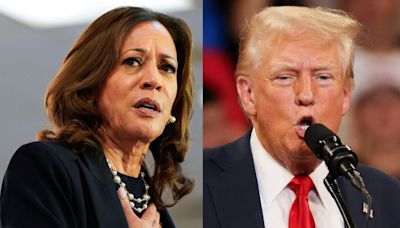 Donald Trump Privately Rants That Kamala Harris Is a ‘B***h’ as His Polls Plunge