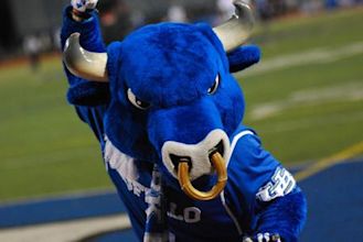 Buffalo Bulls