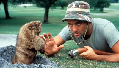 From cult classics to charming comedies: what happened when golf got the Hollywood treatment