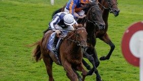 Fall on Forest to make Park Stakes a successful Affair