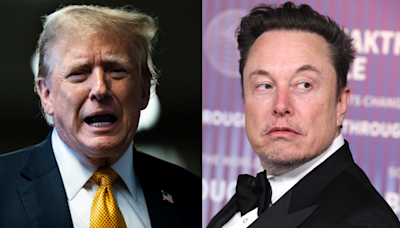 Elon Musk Talks on the Phone With Donald Trump Several Times a Month: Report