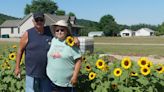 Frankfort couple showcases love through sunflower garden