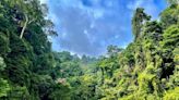 Preserving Malaysian biodiversity critical in maintaining ecological balance