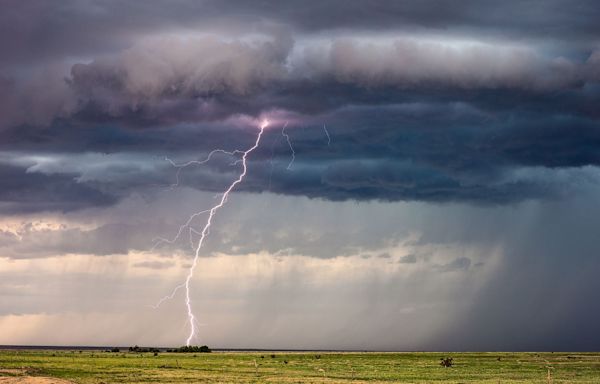 Rancher and 34 Cattle Killed by Same Lightning Strike in Colorado: 'It Hit Them All'