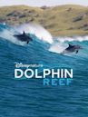 Dolphin Reef (film)