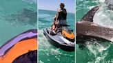 'Aggressive' bull shark caught on video circling, ramming into jet skiers days after successive attacks