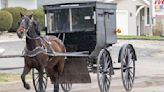 Lovina's Amish Kitchen: Lovina celebrates Mother's Day, welcomes new foal