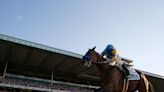 How to watch Belmont Stakes live stream free from anywhere