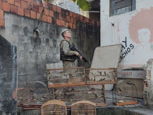 PM resgata mais de 100 animais que viviam em cativeiro em Caxias | Rio de Janeiro | O Dia