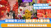 深圳新年2024｜辦年貨3大集中地！新年裝飾/玩具/零食/鮮花統統都有 另附深圳迎春花市、年貨市集、博覽會