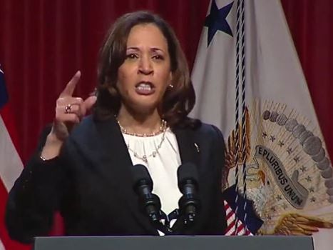 VP Harris called out for 'pandering' to Black voters with 'extraordinary gentlemen' dinners