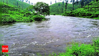 Heavy Rain Increases Water Levels in Noyyal River, Siruvani, and Pillur Dams | Coimbatore News - Times of India